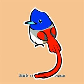 寿带鸟