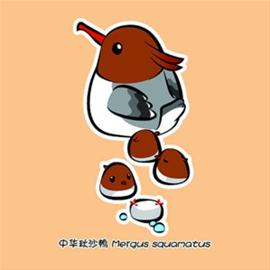中华秋沙鸭 /刘几凡